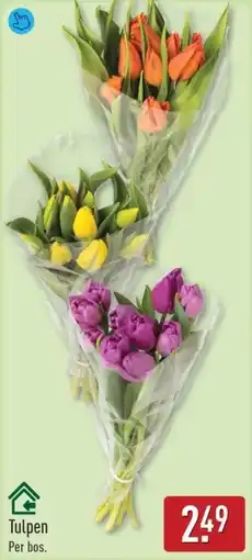 ALDI Tulpen aanbieding