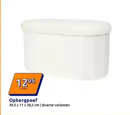 Action Opbergpoef aanbieding