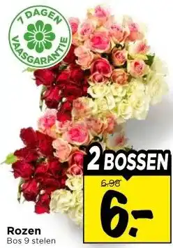 Vomar Voordeelmarkt Rozen aanbieding