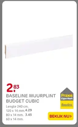 Praxis Baseline muurplint budget cubic aanbieding