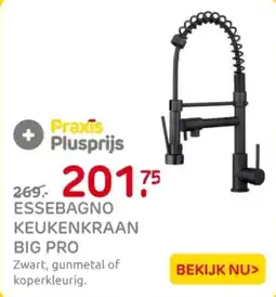 Praxis Essebagno keukenkraan big pro aanbieding