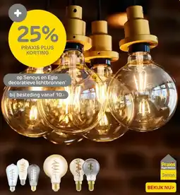 Praxis Op Sencys en Eglo decoratieve lichtbronnen aanbieding