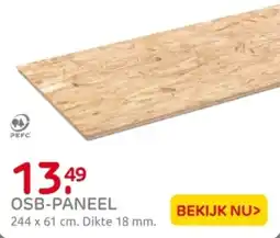 Praxis OSB-PANEEL aanbieding