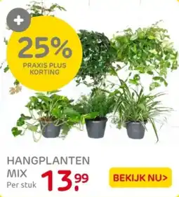 Praxis Hangplanten mix aanbieding