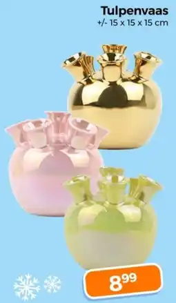 Trekpleister Tulpenvaas aanbieding