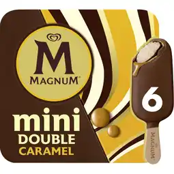 Albert Heijn Magnum Mini double caramel aanbieding
