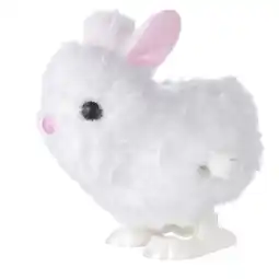 Albert Heijn AH Opwindhaas aanbieding