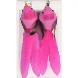 Albert Heijn AH Vogels op clip roze aanbieding