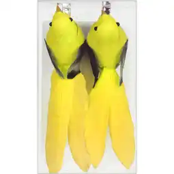 Albert Heijn AH Vogels op clip geel aanbieding