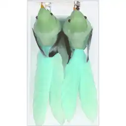 Albert Heijn AH Vogels op clip groen aanbieding