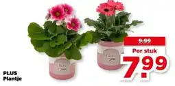 PLUS PLUS Plantje aanbieding