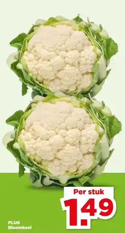 PLUS PLUS Bloemkool aanbieding
