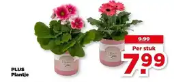 PLUS PLUS Plantje aanbieding