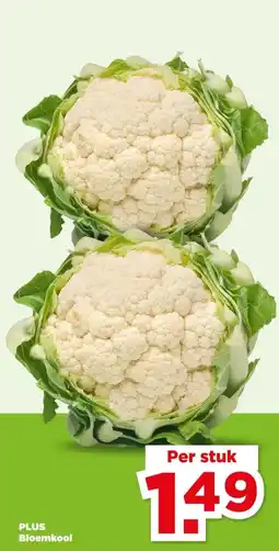 PLUS PLUS Bloemkool aanbieding