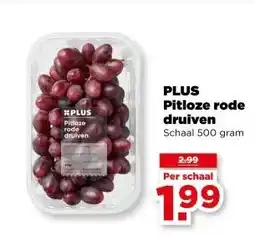 PLUS PLUS Pitloze rode druiven aanbieding