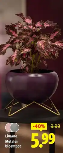 Lidl Livarno Metalen bloempot aanbieding