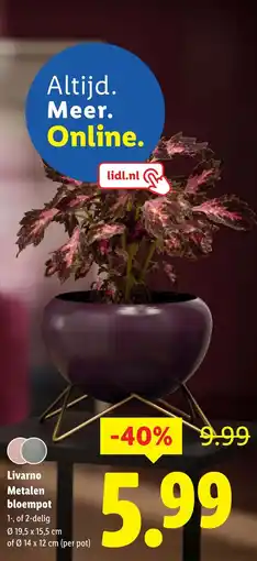 Lidl Livarno Metalen bloempot aanbieding