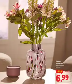 Lidl Livarno Glazen vaas aanbieding