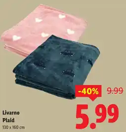 Lidl Livarno Plaid aanbieding