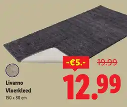 Lidl Livarno Vloerkleed aanbieding