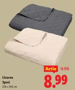 Lidl Livarno Sprei aanbieding