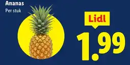 Lidl Ananas aanbieding