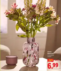 Lidl Livarno Glazen vaas aanbieding
