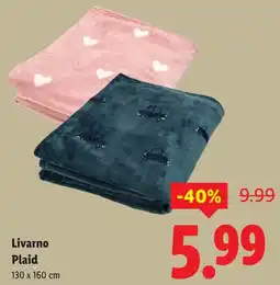 Lidl Livarno Plaid aanbieding