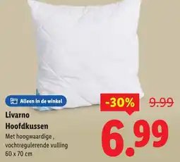 Lidl Livarno Hoofdkussen aanbieding