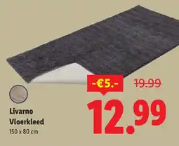 Lidl Livarno Vloerkleed aanbieding