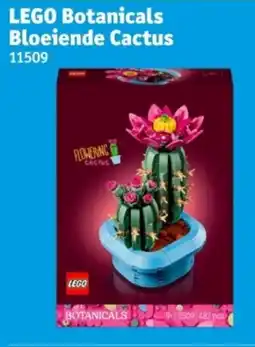 Kruidvat Lego Botanicals Bloeiende Cactus 11509 aanbieding