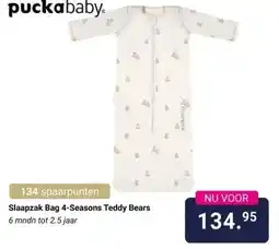 Van Asten BabySuperstore Slaapzak Bag 4-Seasons Teddy Bears aanbieding