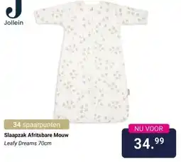 Van Asten BabySuperstore Slaapzak Afritsbare Mouw aanbieding