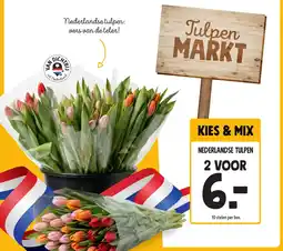 Jumbo Nederlandse tulpen aanbieding