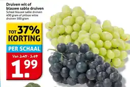 Hoogvliet Druiven wit of blauwe sable druiven aanbieding