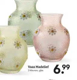 Blokker Vaas Madelief aanbieding