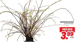 Dekamarkt Kersenbloesem aanbieding