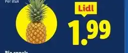 Lidl Ananas aanbieding