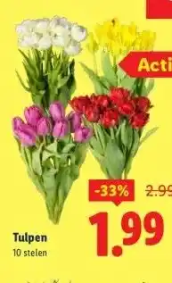 Lidl Tulpen aanbieding