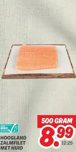 Dekamarkt HOOGLAND ZALMFILET MET HUID aanbieding