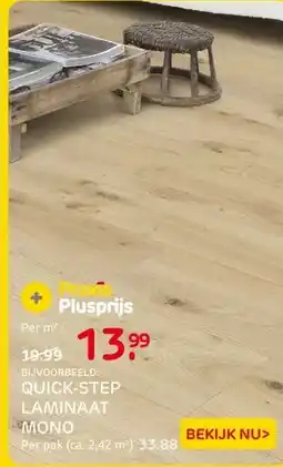 Praxis QUICK-STEP LAMINAAT MONO aanbieding