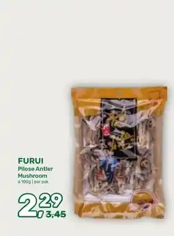 Amazing Oriëntal FURUI aanbieding
