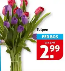 Hoogvliet Tulpen aanbieding