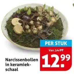 Hoogvliet Narcissenbollen in keramiekschaal aanbieding