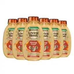 Plein.nl 6x Garnier Loving Blends Honing aanbieding