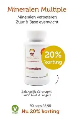 De Rode Pilaren Mineralen Multiple aanbieding