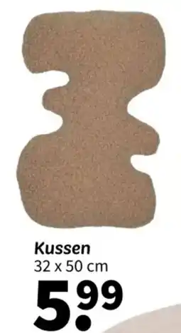 Wibra Kussen aanbieding