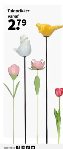 Wibra Tuinprikker aanbieding