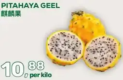 Amazing Oriëntal PITAHAYA GEEL aanbieding