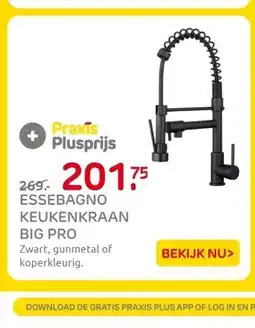 Praxis ESSEBAGNO KEUKENKRAAN BIG PRO aanbieding